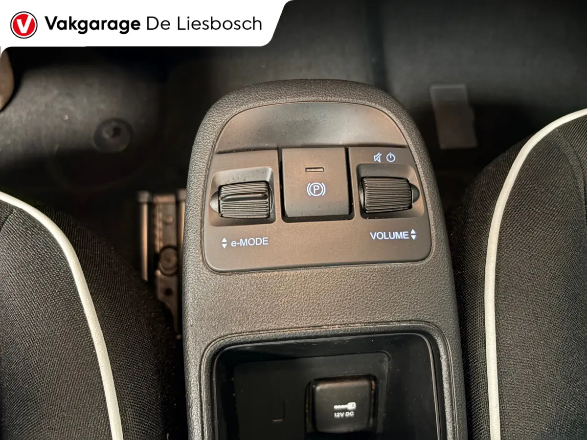 42 kWh /Icon/ airco / carplay