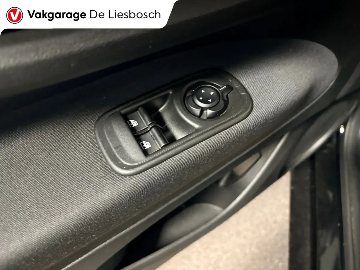 42 kWh /Icon/ airco / carplay