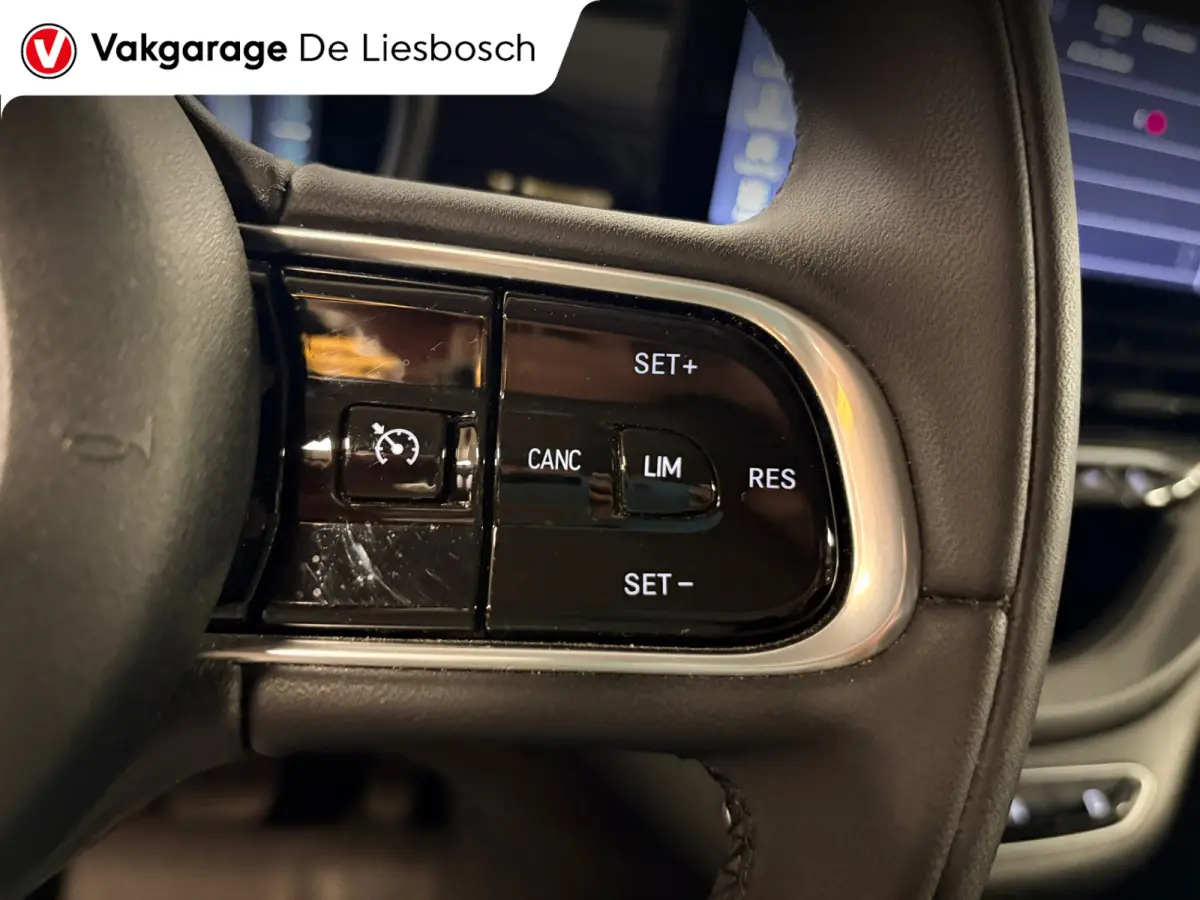 42 kWh /Icon/ airco / carplay