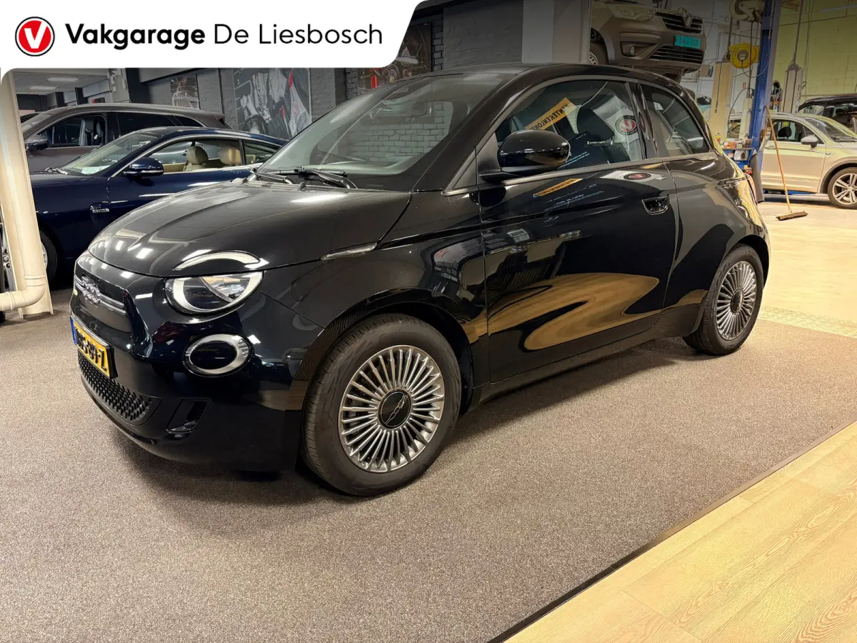 42 kWh /Icon/ airco / carplay