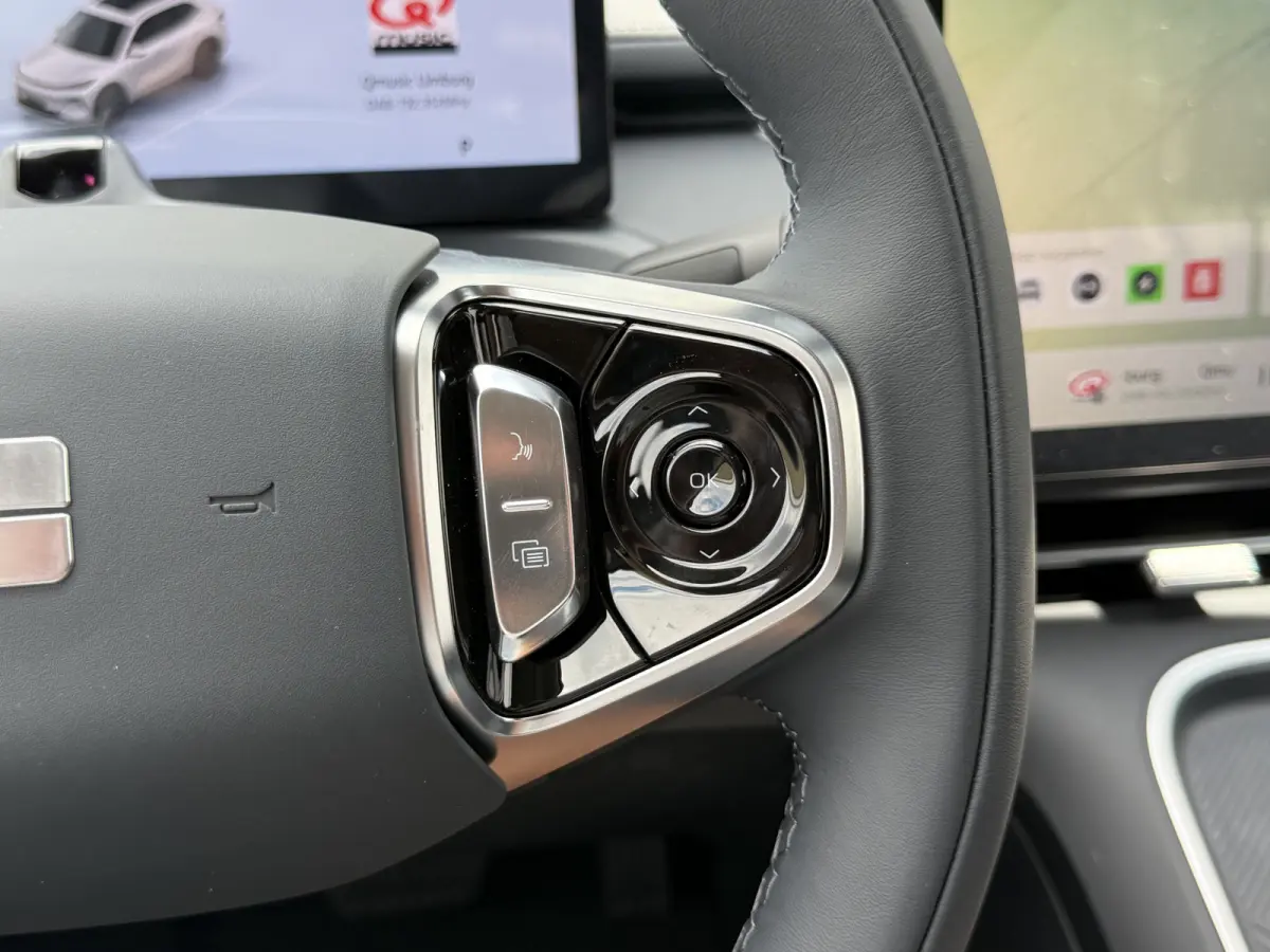 1.5 Max+ PHEV | Long Range | 8 jaar garantie | Geely Specialist | Pano