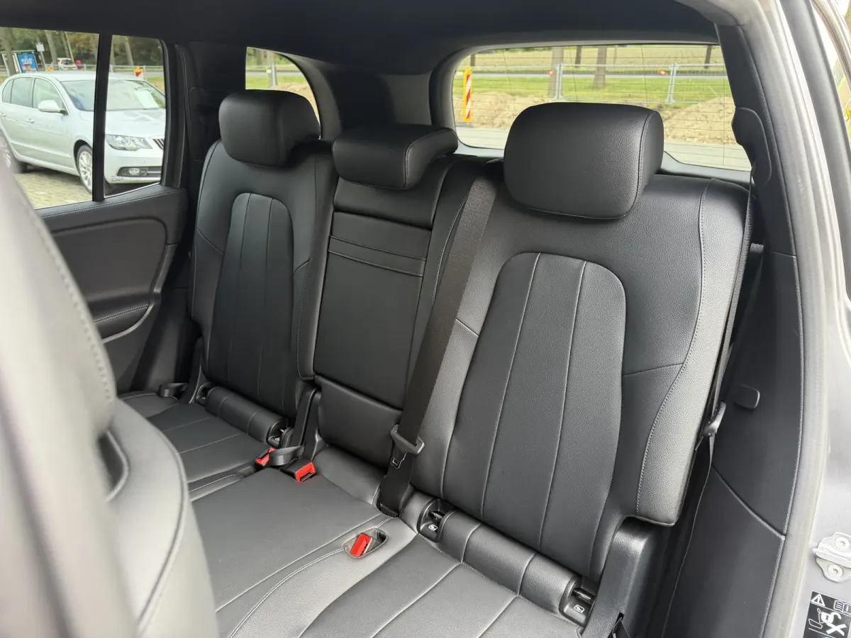250 Luxury Line 67 kWh / 98,50% SoH / Camera / Sensoren / Keyless / Leder /