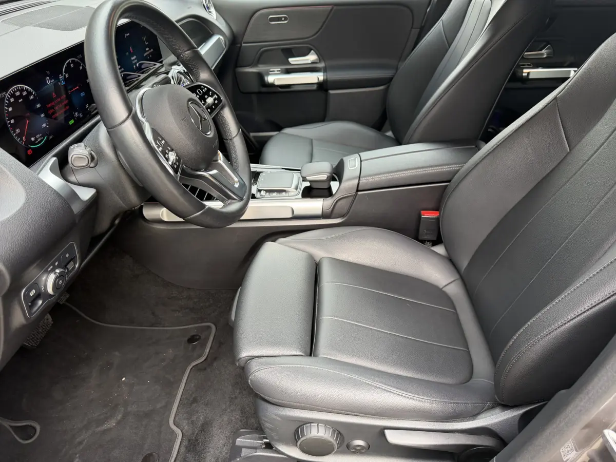 250 Luxury Line 67 kWh / 98,50% SoH / Camera / Sensoren / Keyless / Leder /