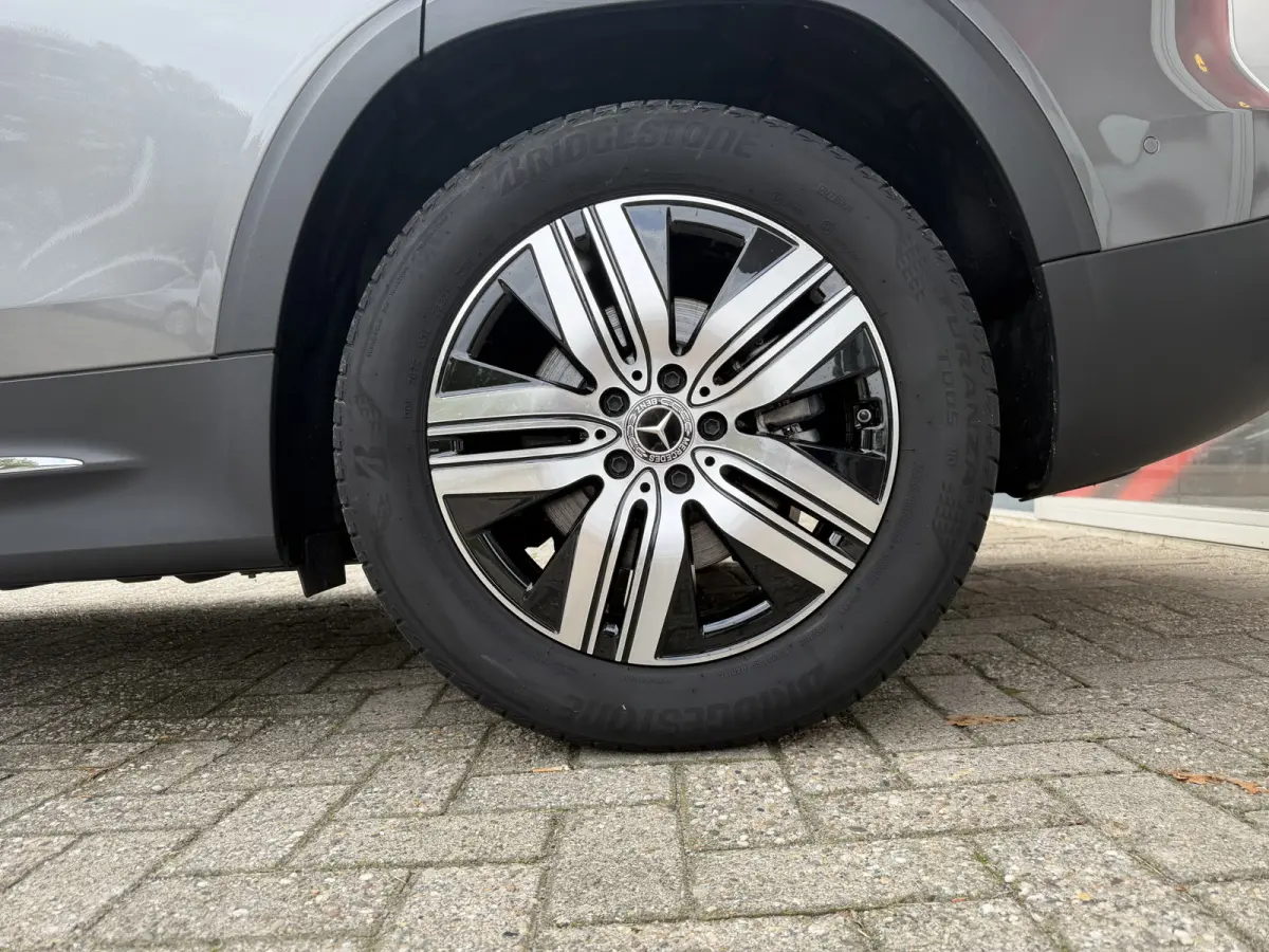 250 Luxury Line 67 kWh / 98,50% SoH / Camera / Sensoren / Keyless / Leder /