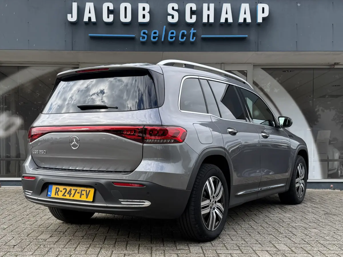250 Luxury Line 67 kWh / 98,50% SoH / Camera / Sensoren / Keyless / Leder /