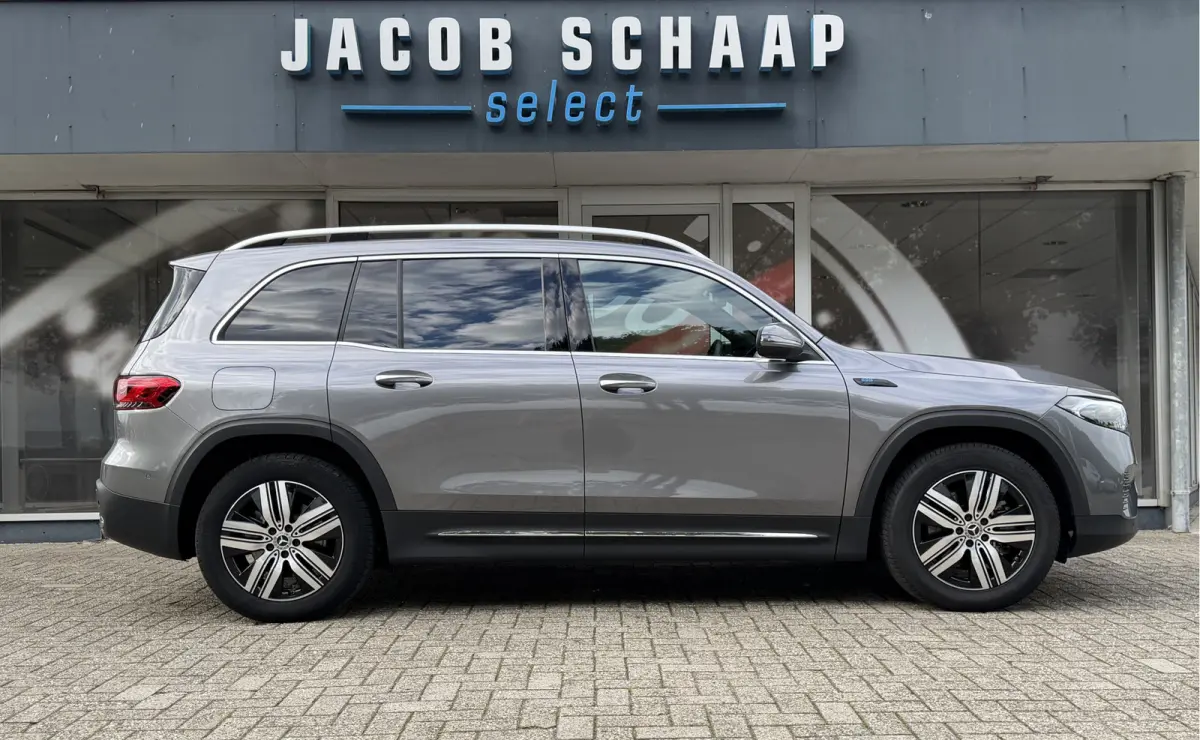 250 Luxury Line 67 kWh / 98,50% SoH / Camera / Sensoren / Keyless / Leder /