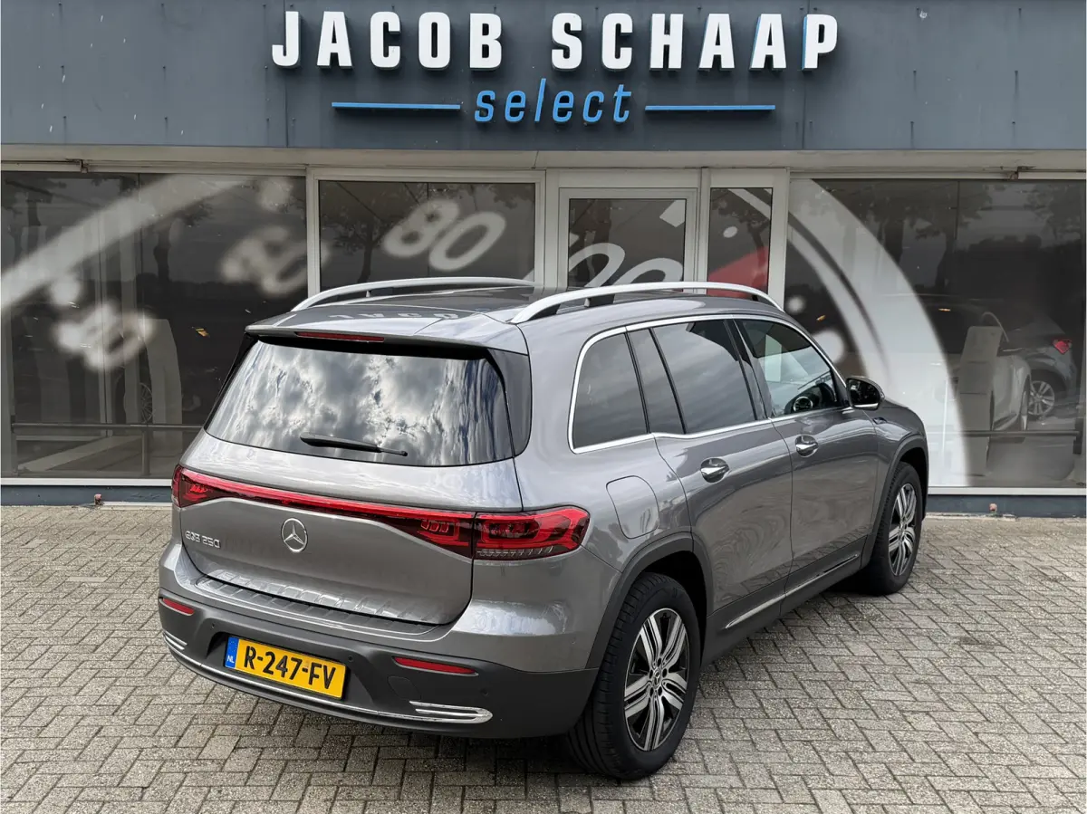 250 Luxury Line 67 kWh / 98,50% SoH / Camera / Sensoren / Keyless / Leder /