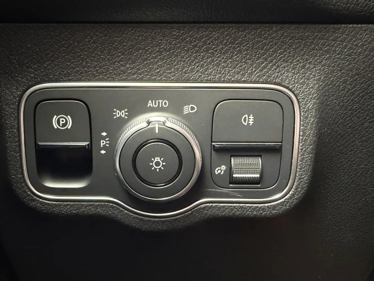 250 Luxury Line 67 kWh / 98,50% SoH / Camera / Sensoren / Keyless / Leder /