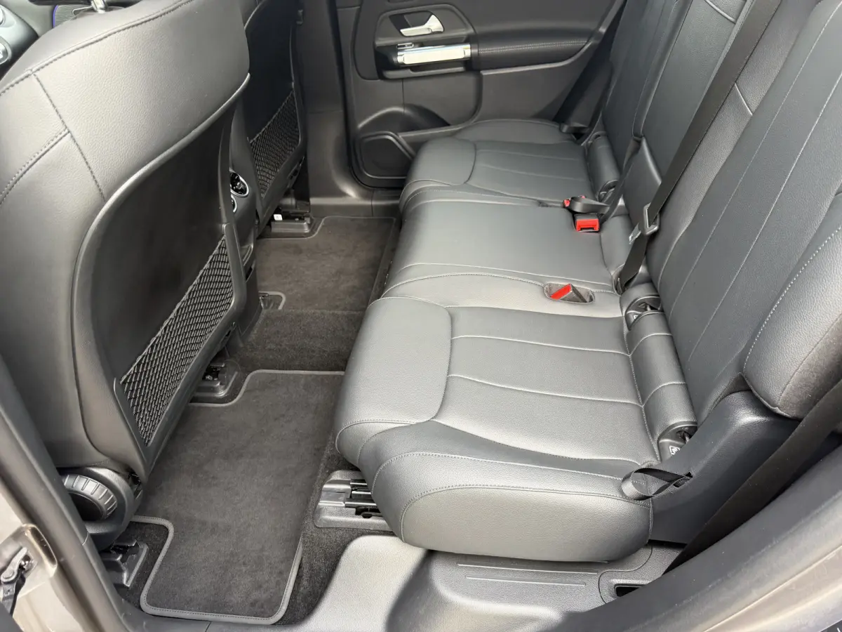 250 Luxury Line 67 kWh / 98,50% SoH / Camera / Sensoren / Keyless / Leder /