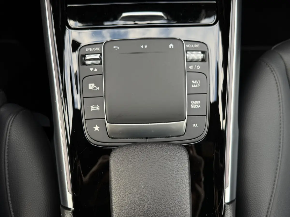 250 Luxury Line 67 kWh / 98,50% SoH / Camera / Sensoren / Keyless / Leder /