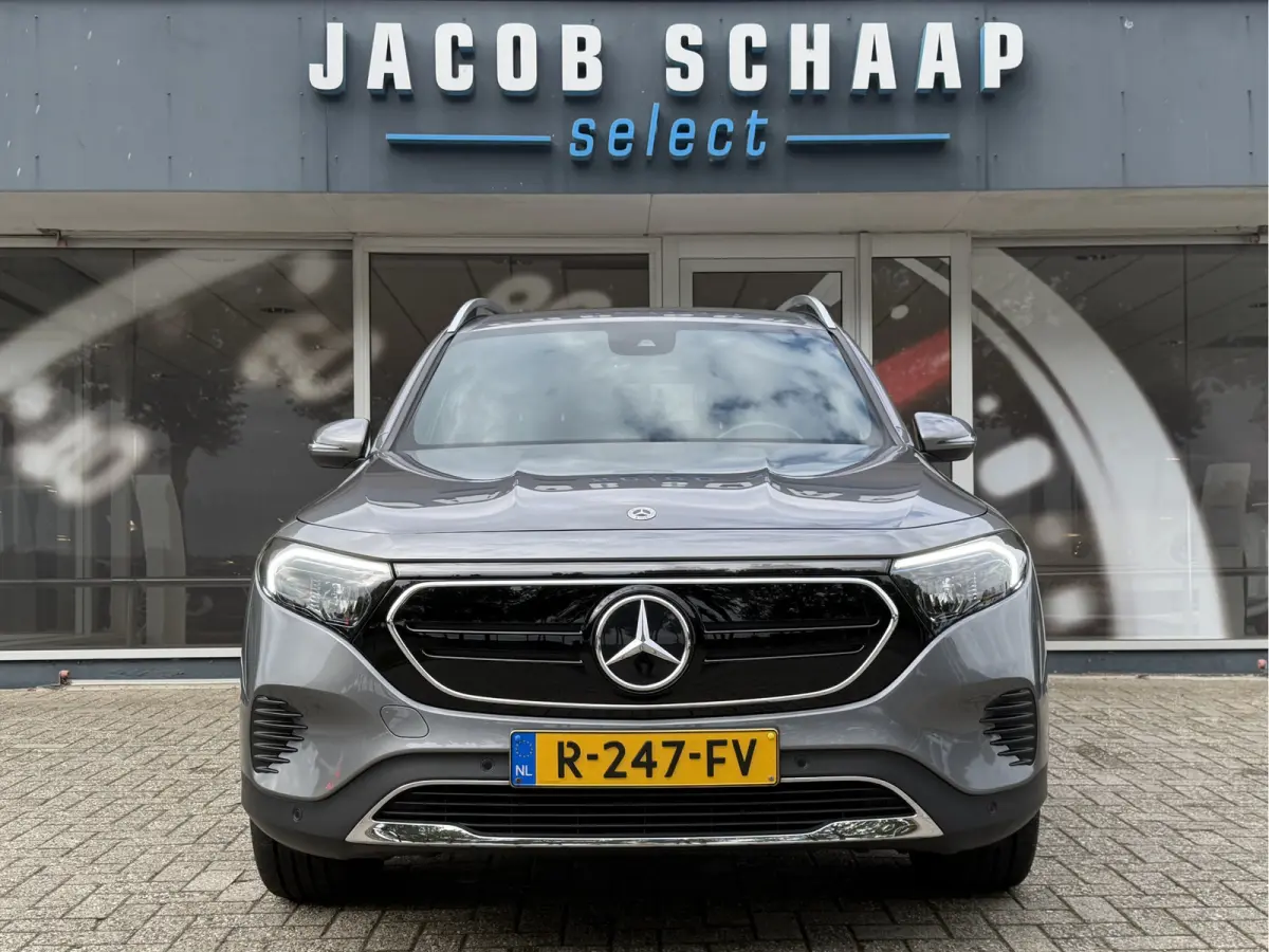 250 Luxury Line 67 kWh / 98,50% SoH / Camera / Sensoren / Keyless / Leder /