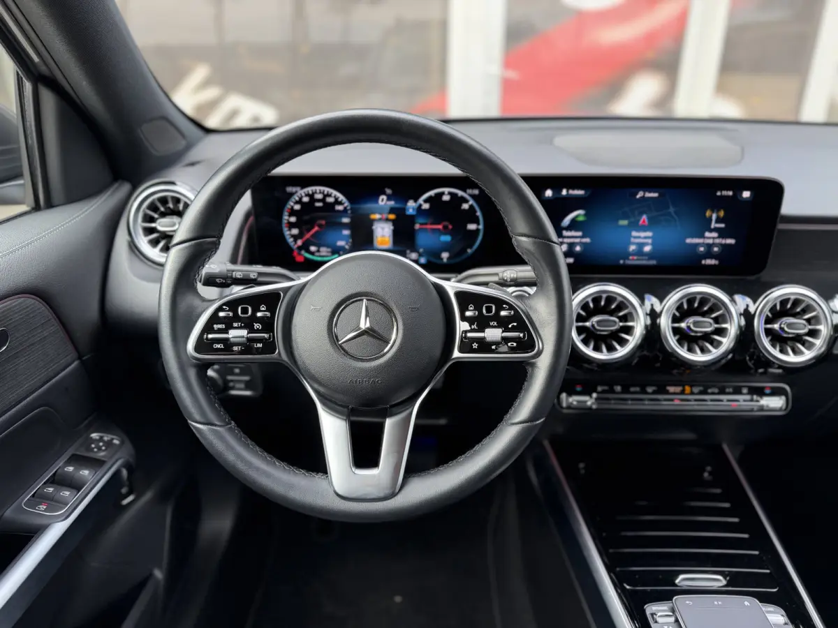 250 Luxury Line 67 kWh / 98,50% SoH / Camera / Sensoren / Keyless / Leder /