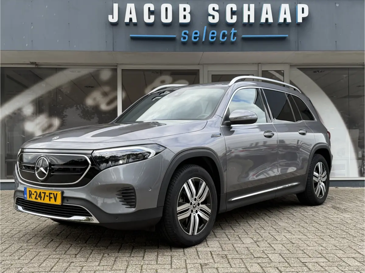 250 Luxury Line 67 kWh / 98,50% SoH / Camera / Sensoren / Keyless / Leder /