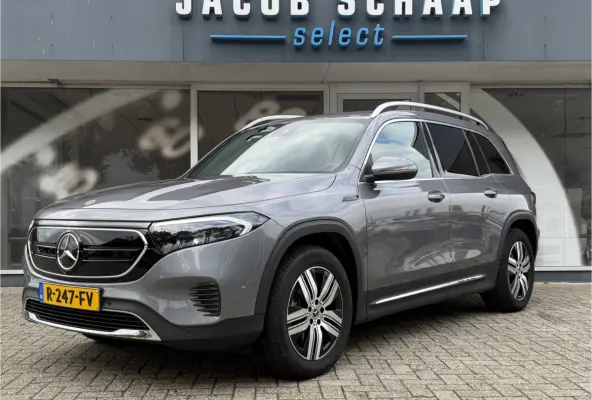 250 Luxury Line 67 kWh / 98,50% SoH / Camera / Sensoren / Keyless / Leder /