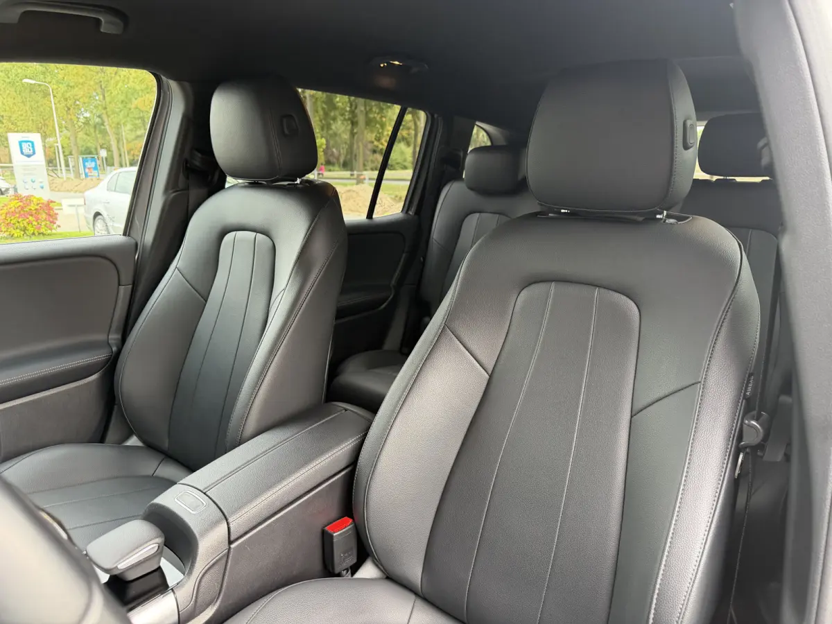 250 Luxury Line 67 kWh / 98,50% SoH / Camera / Sensoren / Keyless / Leder /