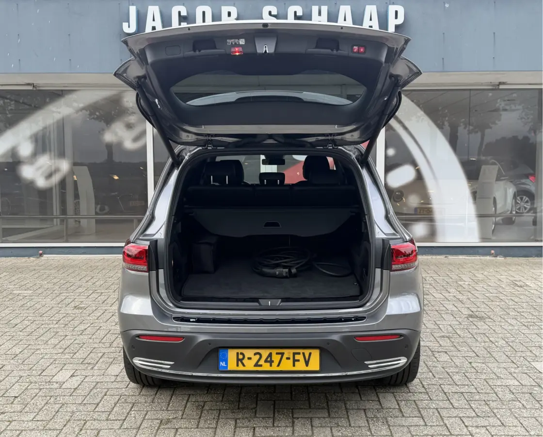 250 Luxury Line 67 kWh / 98,50% SoH / Camera / Sensoren / Keyless / Leder /