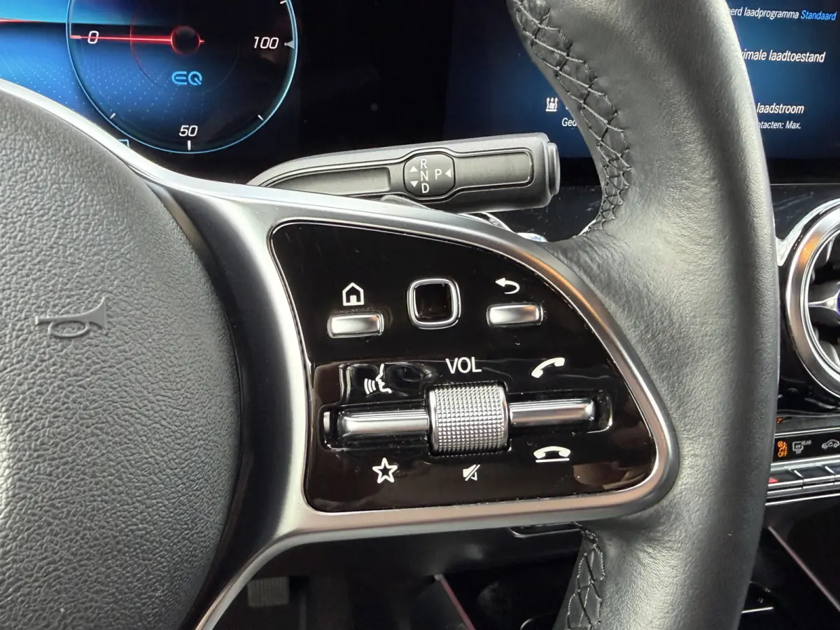 250 Luxury Line 67 kWh / 98,50% SoH / Camera / Sensoren / Keyless / Leder /