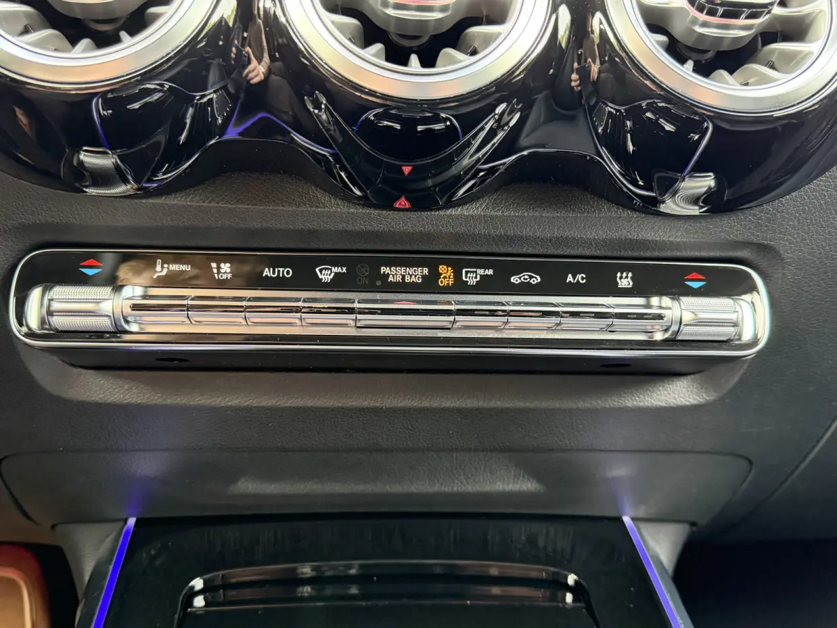 250 Luxury Line 67 kWh / 98,50% SoH / Camera / Sensoren / Keyless / Leder /