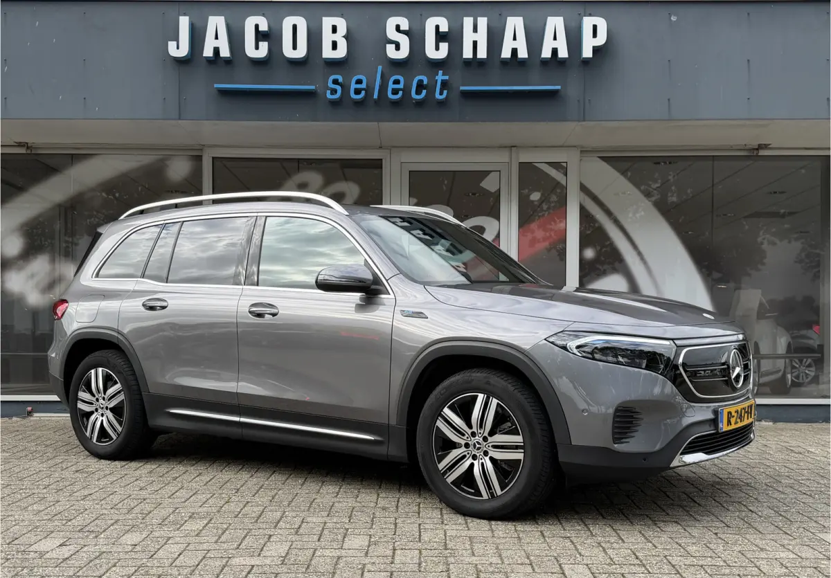 250 Luxury Line 67 kWh / 98,50% SoH / Camera / Sensoren / Keyless / Leder /