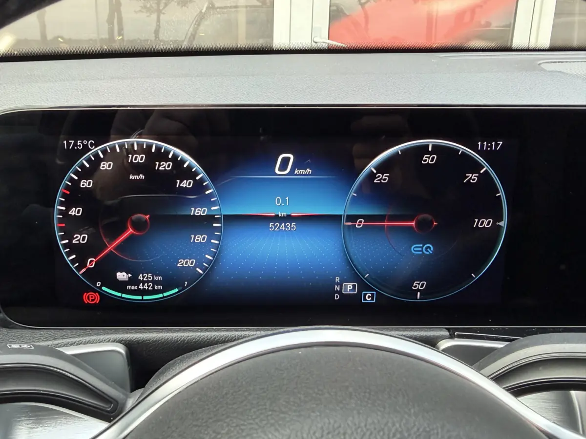 250 Luxury Line 67 kWh / 98,50% SoH / Camera / Sensoren / Keyless / Leder /