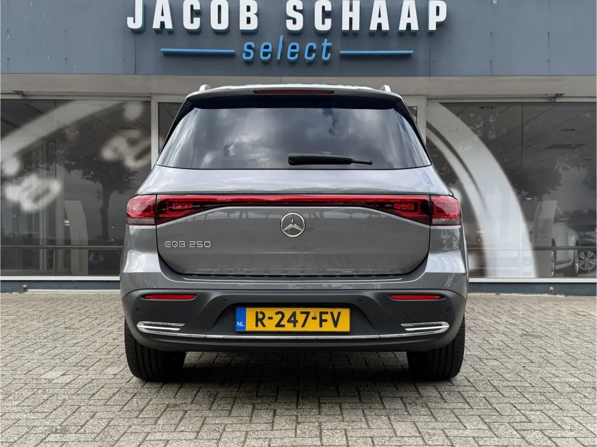 250 Luxury Line 67 kWh / 98,50% SoH / Camera / Sensoren / Keyless / Leder /