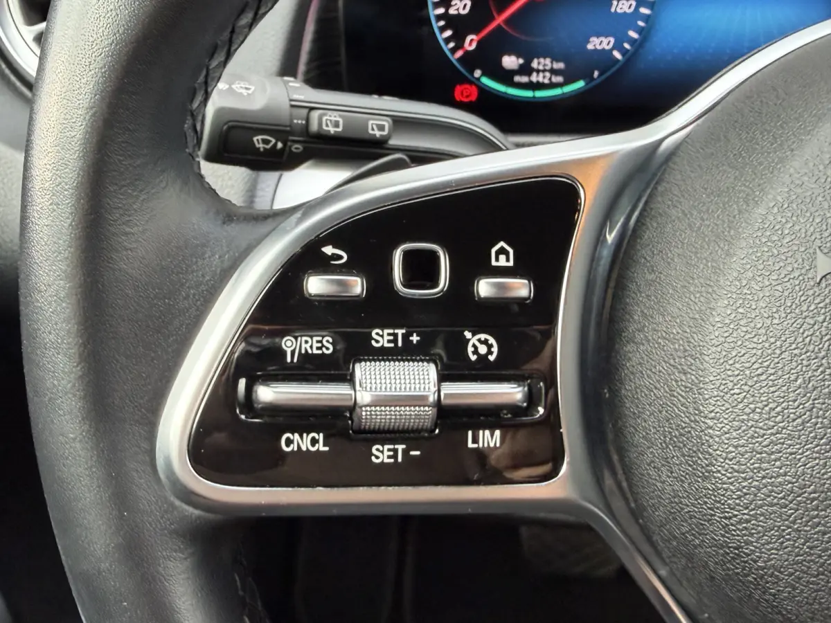 250 Luxury Line 67 kWh / 98,50% SoH / Camera / Sensoren / Keyless / Leder /