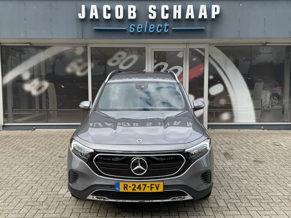 250 Luxury Line 67 kWh / 98,50% SoH / Camera / Sensoren / Keyless / Leder /