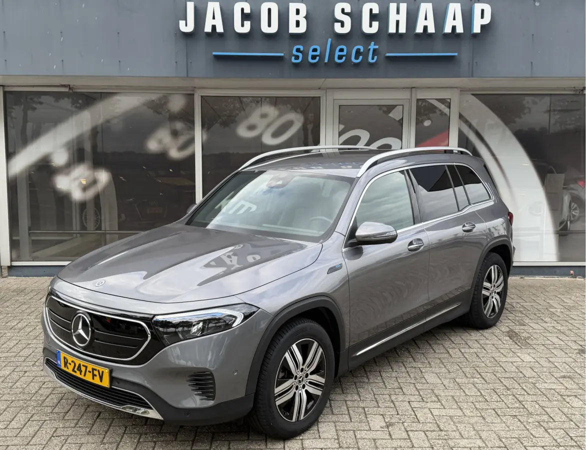 250 Luxury Line 67 kWh / 98,50% SoH / Camera / Sensoren / Keyless / Leder /