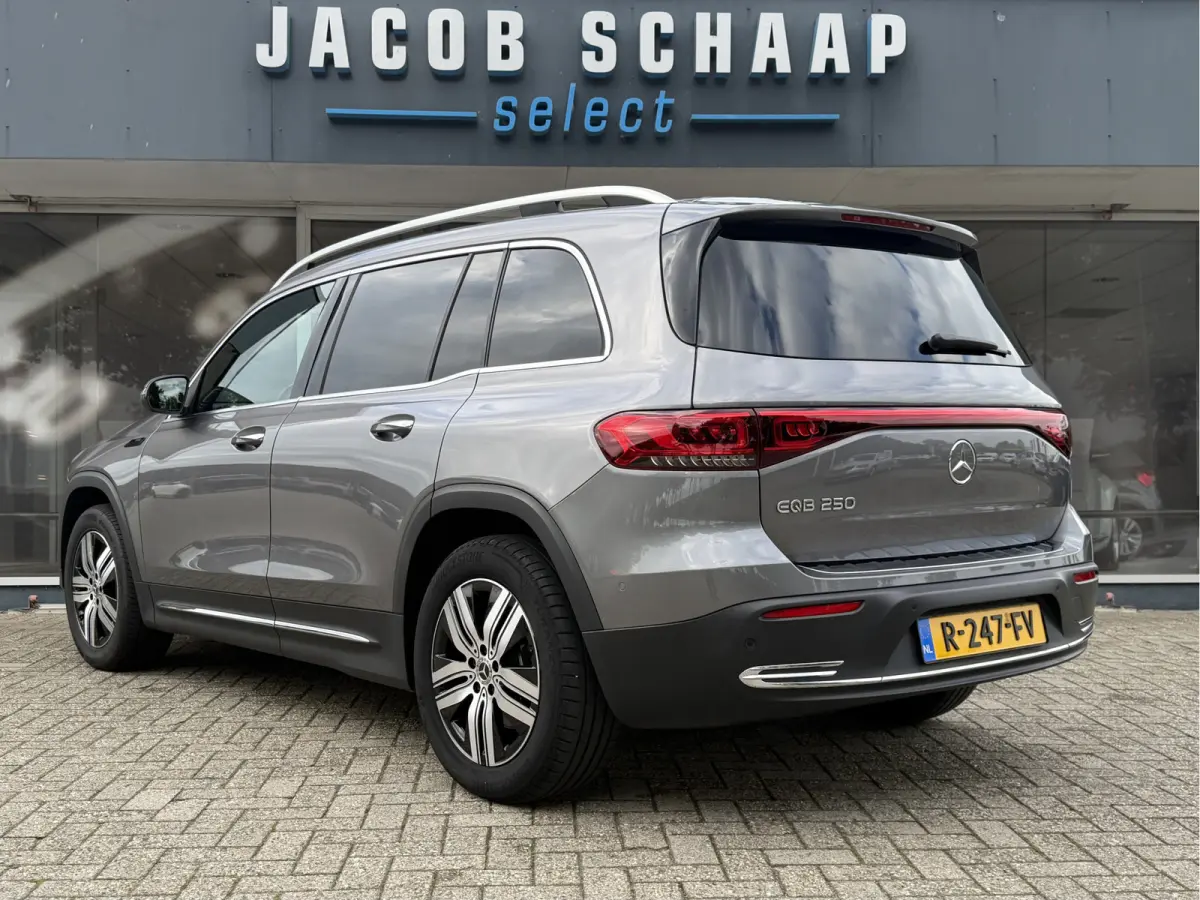 250 Luxury Line 67 kWh / 98,50% SoH / Camera / Sensoren / Keyless / Leder /