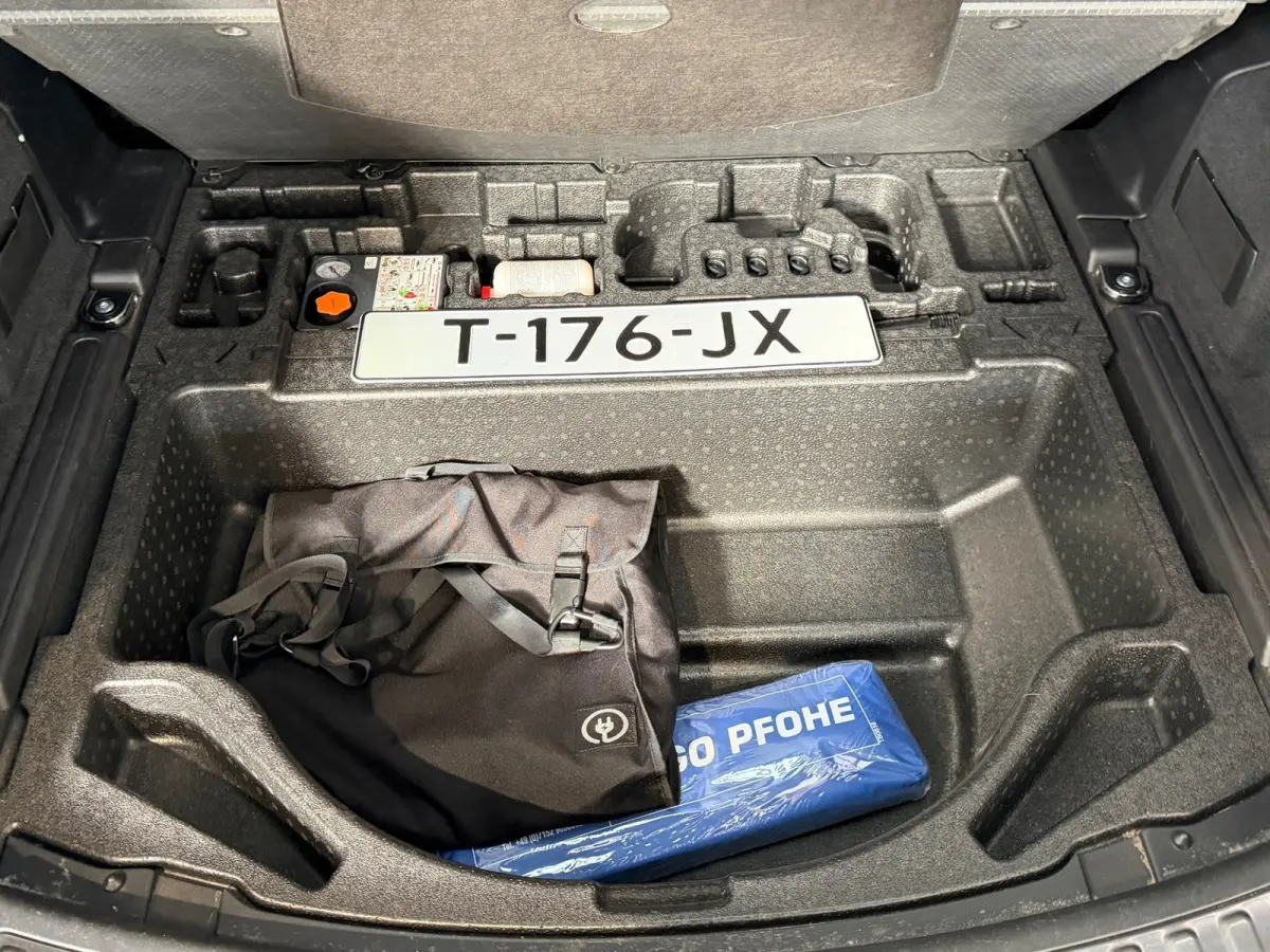 P300e 1.5 R-Dynamic SE - Panorama - Trekhaak - Meridian