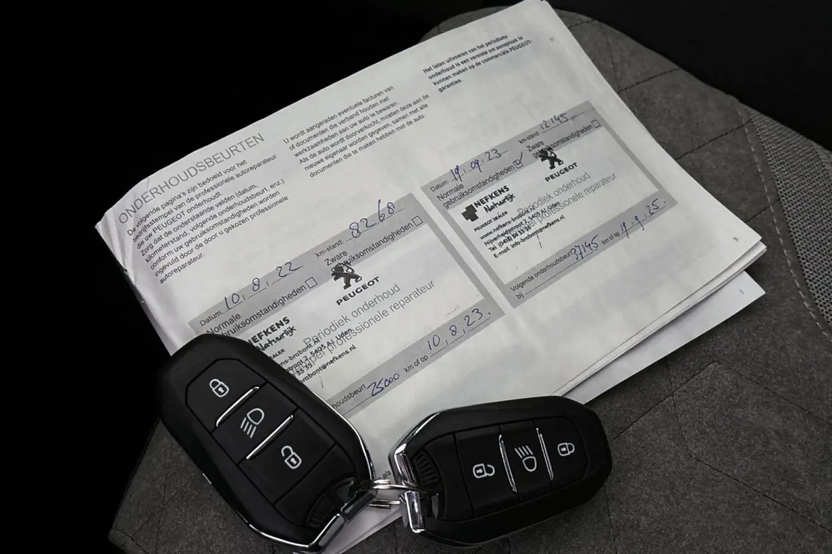 EV GT Pack 50 kWh Stoelverwarming Keyless Camera SOH 100%