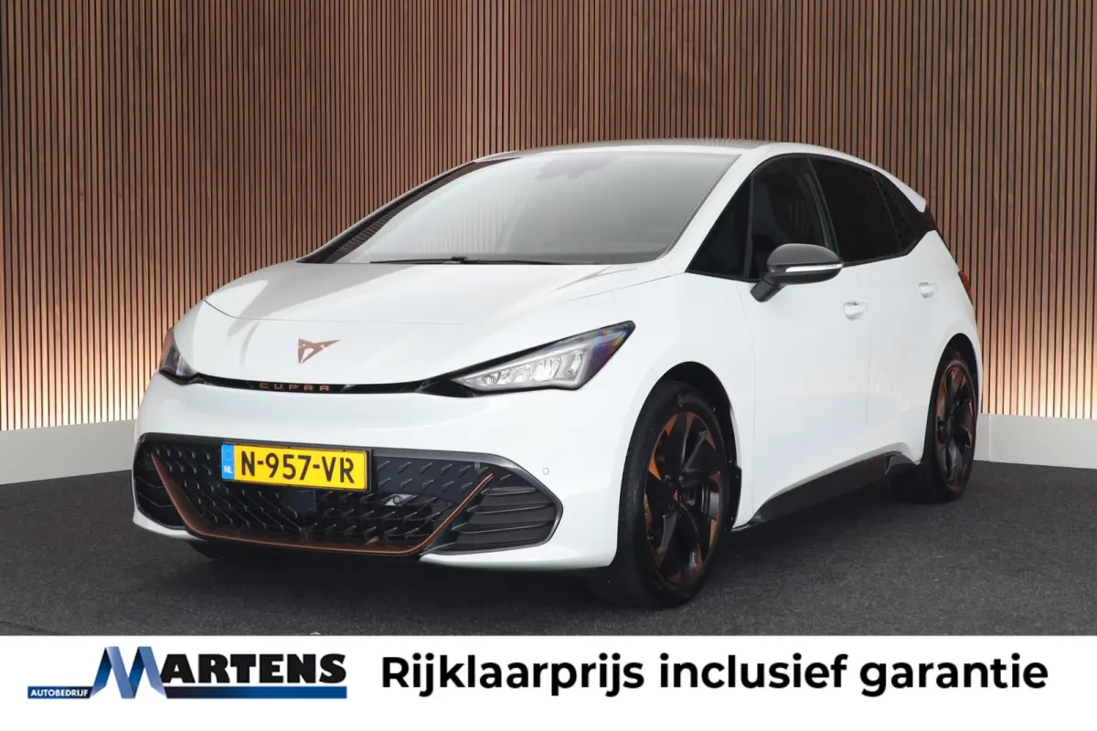 Performance One 204pk 62 kWh SOH 91% Keyless Stoelverwarming Camera Navigatie ACC