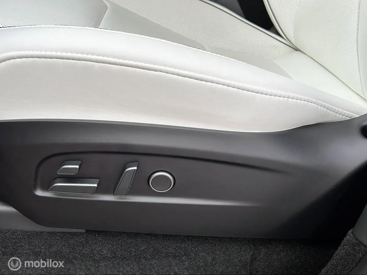 Performance AWD 83 kWh / afneembare trekhaak