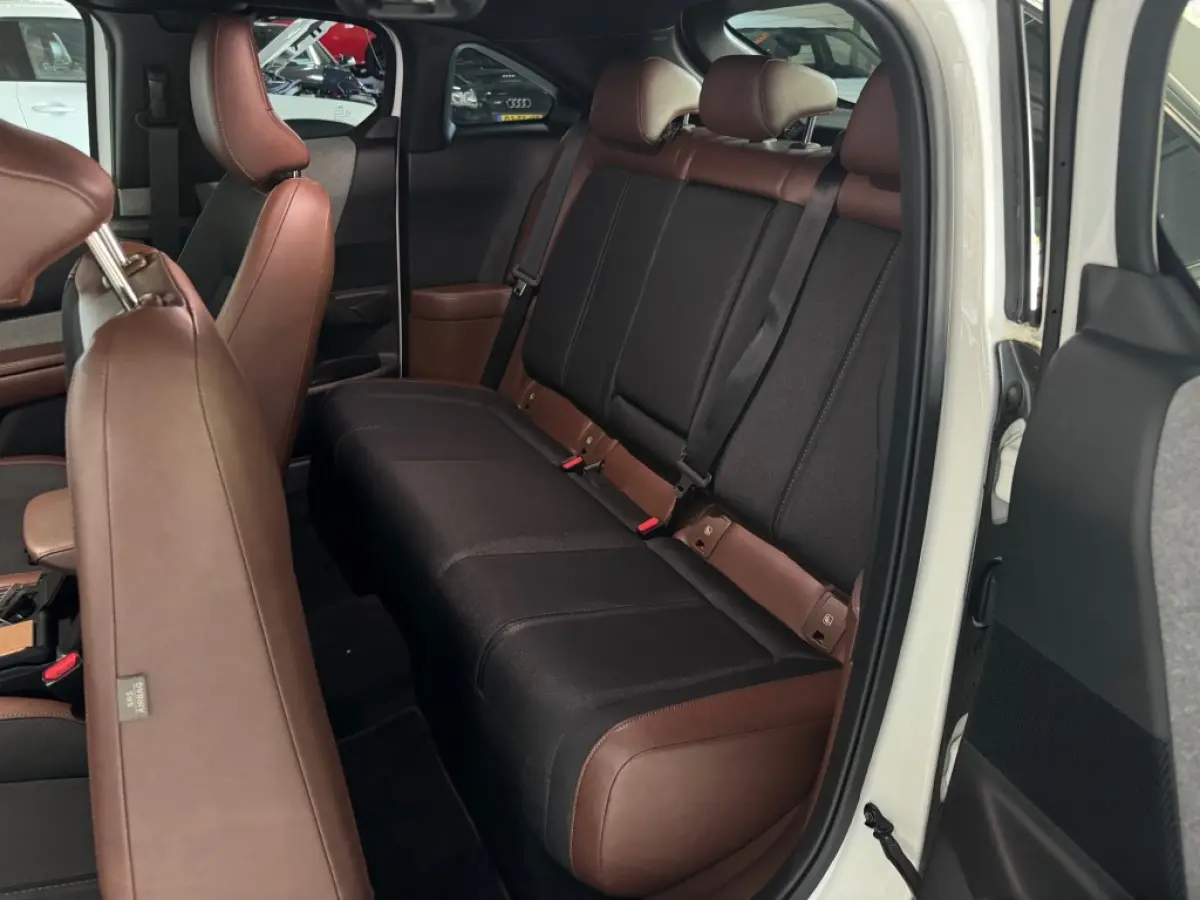 e-SkyActiv EV 145 Advantage 36 kWh / 27971 km / CarPlay / All-season banden.
