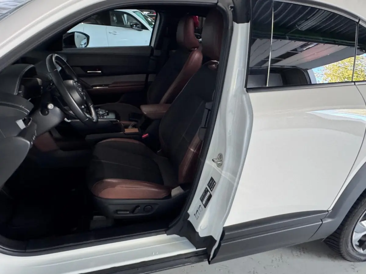 e-SkyActiv EV 145 Advantage 36 kWh / 27971 km / CarPlay / All-season banden.