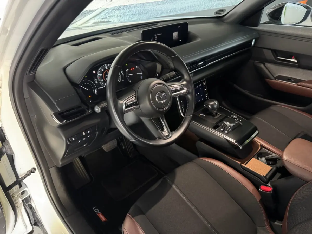 e-SkyActiv EV 145 Advantage 36 kWh / 27971 km / CarPlay / All-season banden.