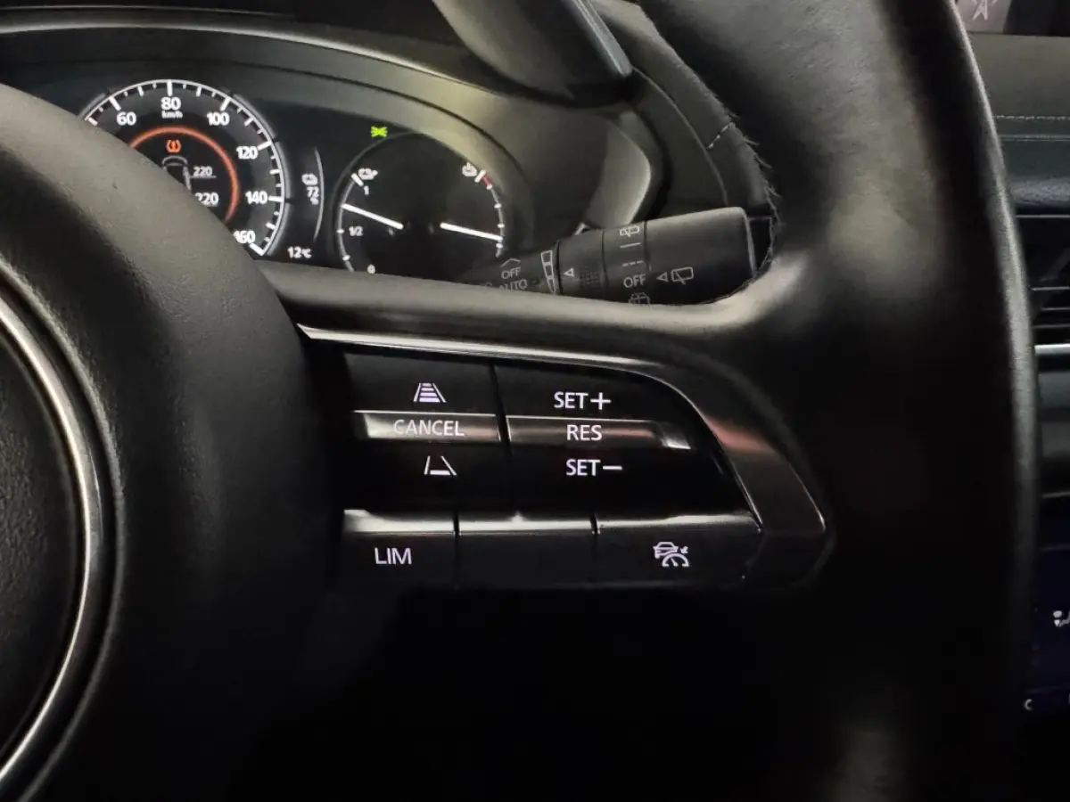 e-SkyActiv EV 145 Advantage 36 kWh / 27971 km / CarPlay / All-season banden.