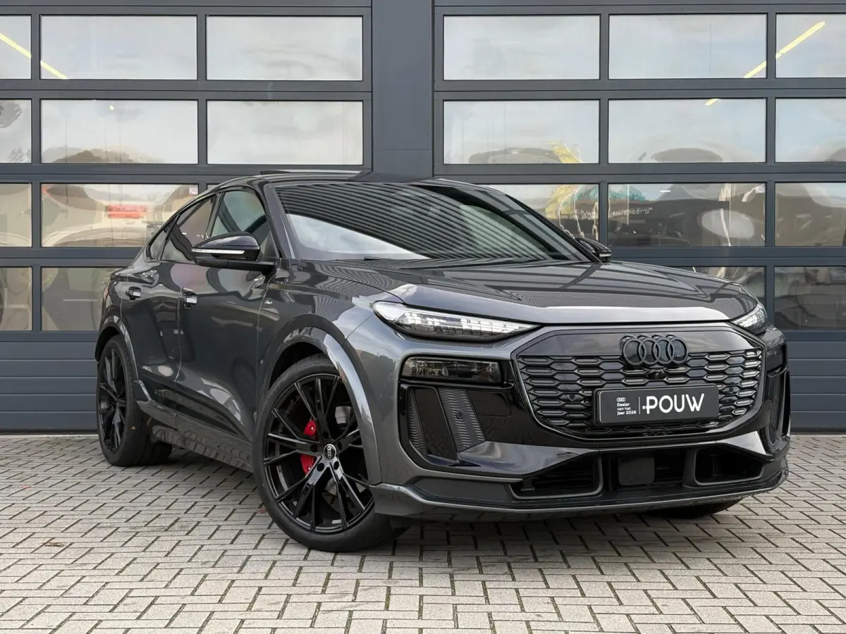 252pk S edition 83 kWh | Sportstoelen Plus | B&O Audio | Luchtvering | Trekhaak