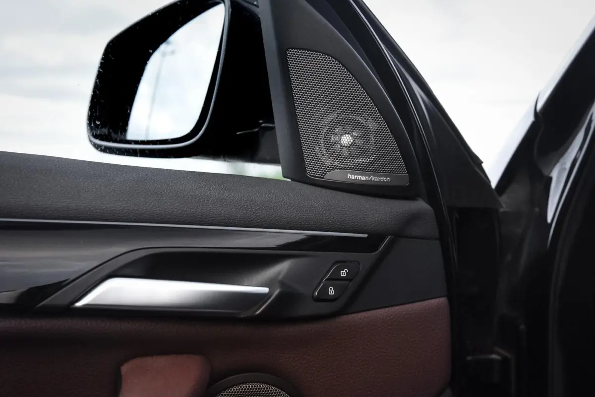 xDrive25e M Sport | Pano | HUD | Leder | ACC