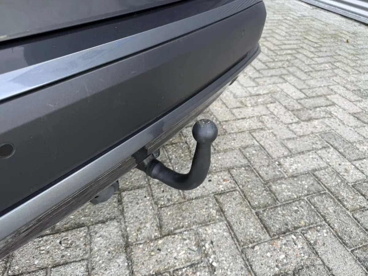 xDrive25e Executive LED Trekhaak Climate Control DAB