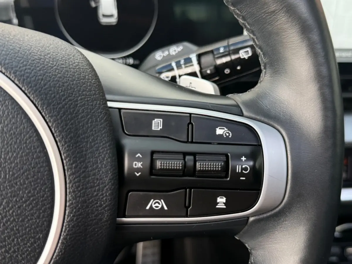 Kia Sportage 1.6 T Plugin GT-PlusLine | leer | panoramadak