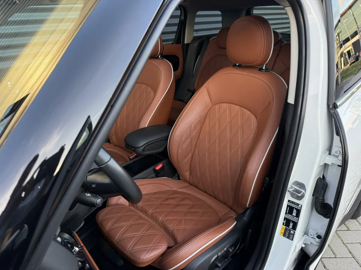 1.5 Cooper SE ALL4 Pano/H&K/Leder