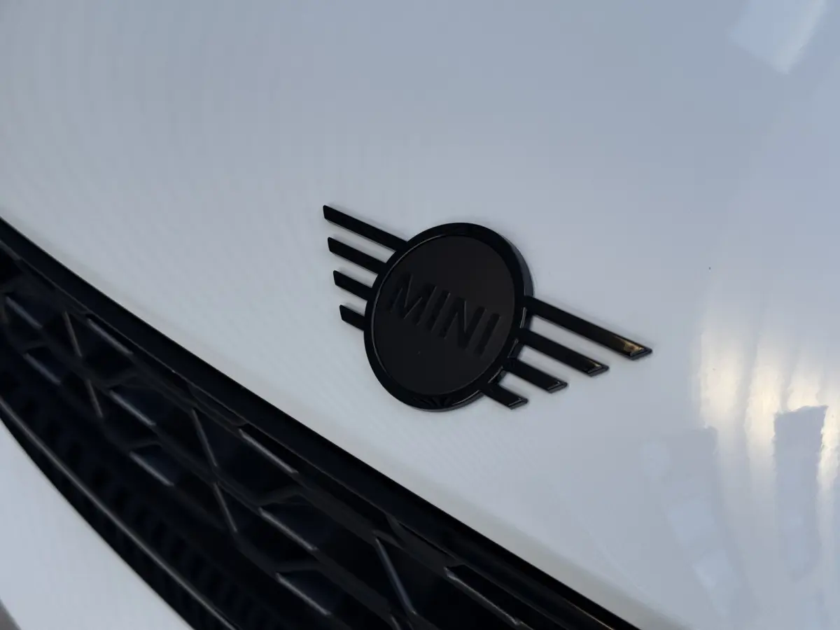 1.5 Cooper SE ALL4 Pano/H&K/Leder