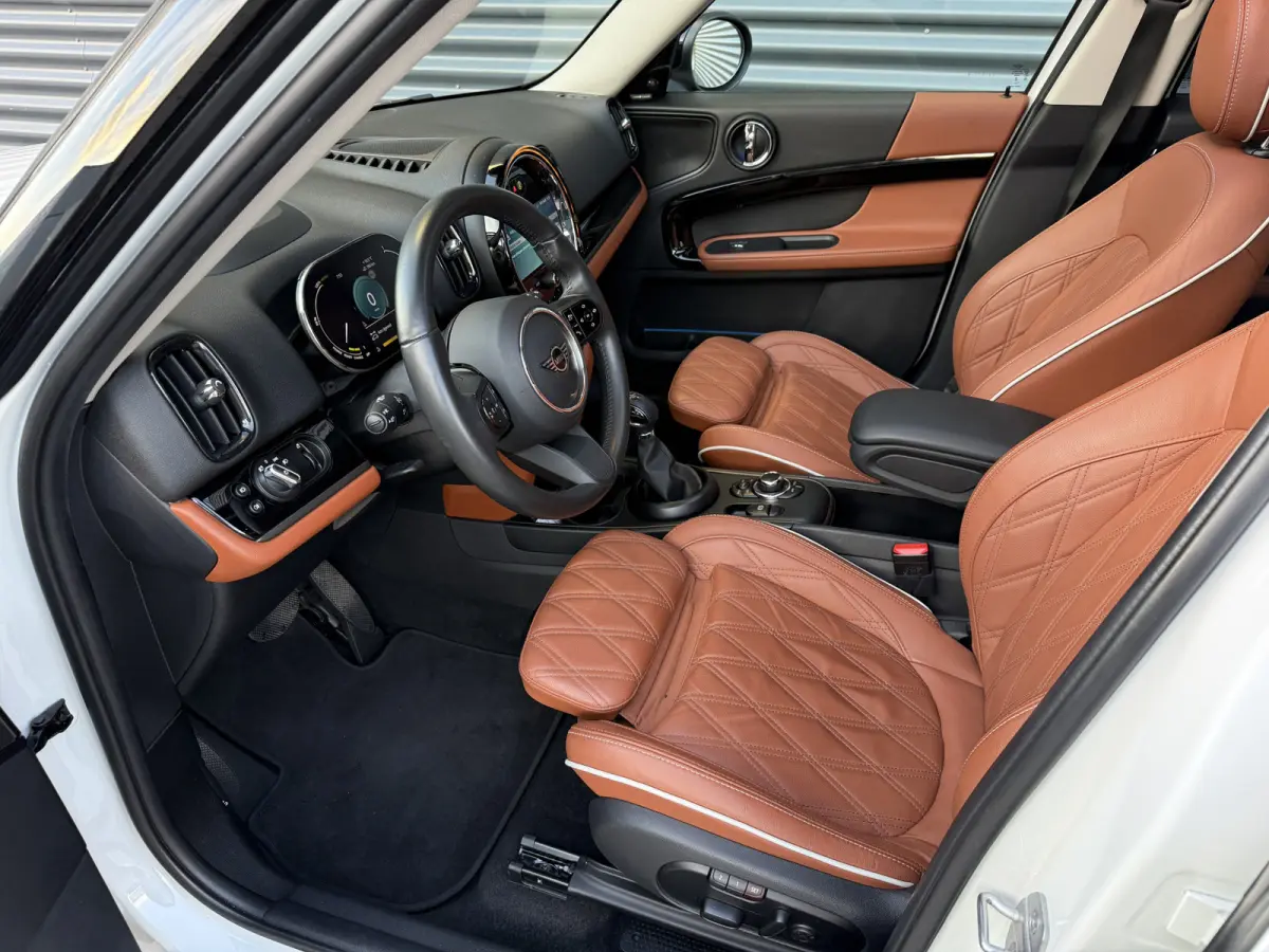 1.5 Cooper SE ALL4 Pano/H&K/Leder