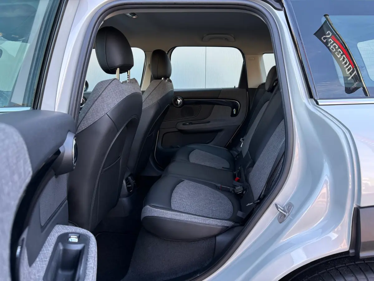1.5 PHEV 221PK Cooper S E ALL4 Navigatie/Carplay-Android-auto/Parkeerhulp