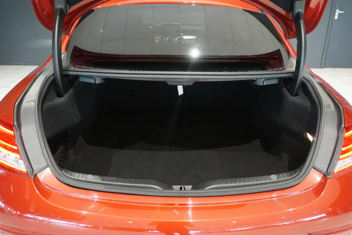 250 AMG-line 211PK + PANORAMA / CAMERA / STOELVERWARMING