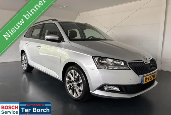1.0 TSI Business Edition,Navigatie,Trekhaak