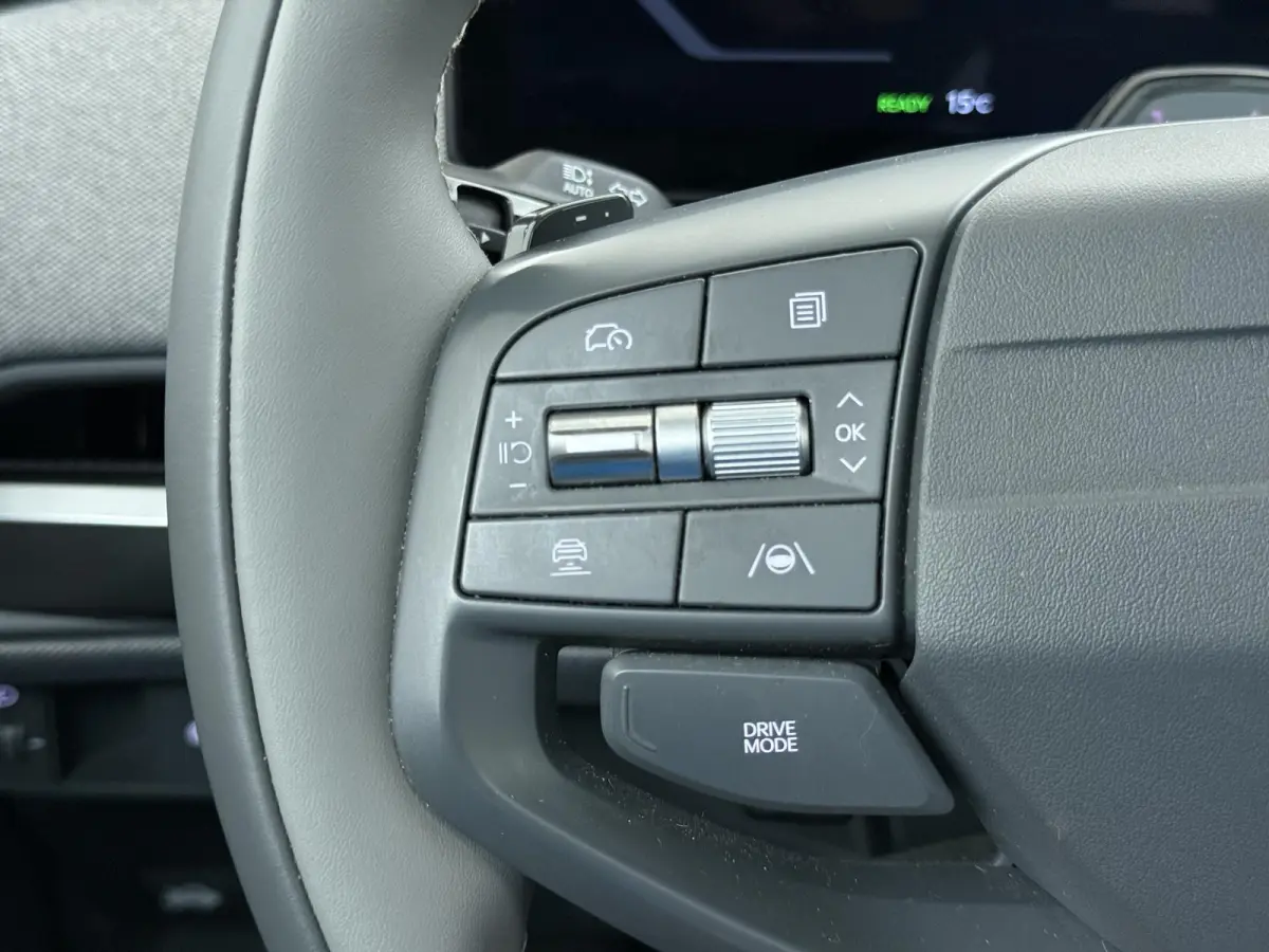 Plus Advanced 58.3 kWh SOH 100% | HARMAN KARDON | DODE HOEK | ELEK. STOELEN | STOEL + STUURVERWARMING | ADAP. CRUISE | ACHTERUITRIJCAMERA | PANO | FABRIEKS GARANTIE TOT 01-2032 | NET ONDERHO