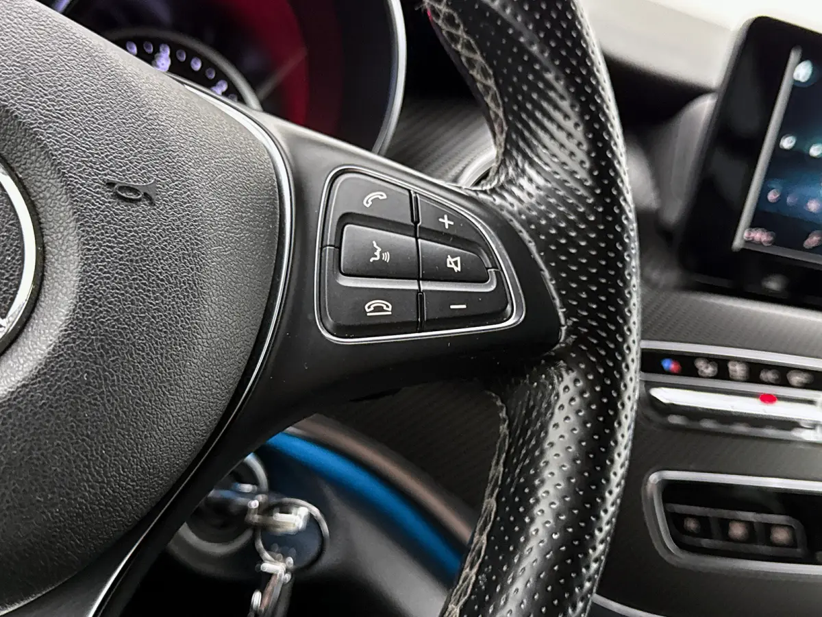 300d Lang DC Avantgarde AMG line Leder Camera Navigatie Trekhaak afneembaar Dubbele cabine