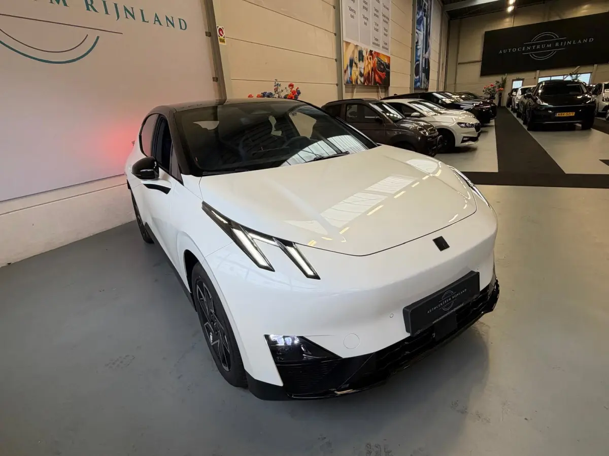 Core 66 kWh Stoelverwarming, Apple CarPlay, Achteruitrijcamera, Panoramadak, Elektrische Achterklep